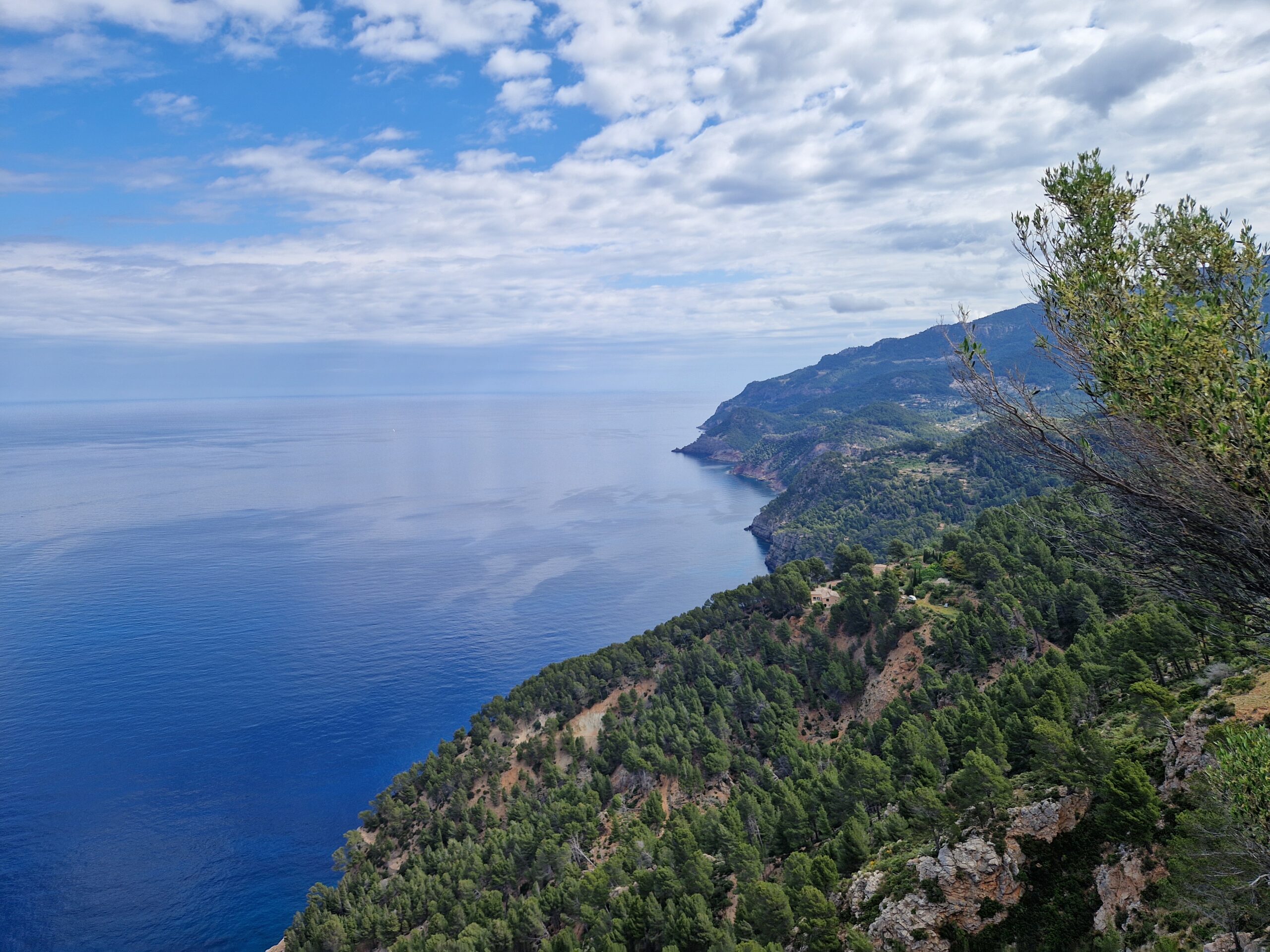 Kaip galima neiįsimylėti tokio vaizdo?