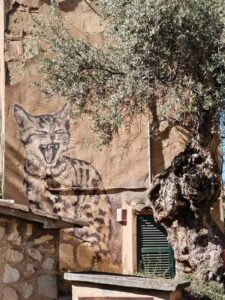 553976724_1888670485035074_2737648743998526081_n